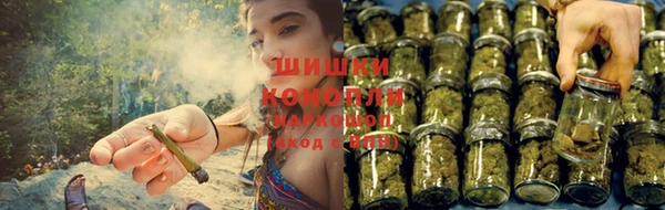 гидропоника Аркадак